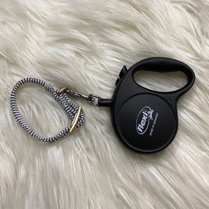 striped small collar with leash for dogs